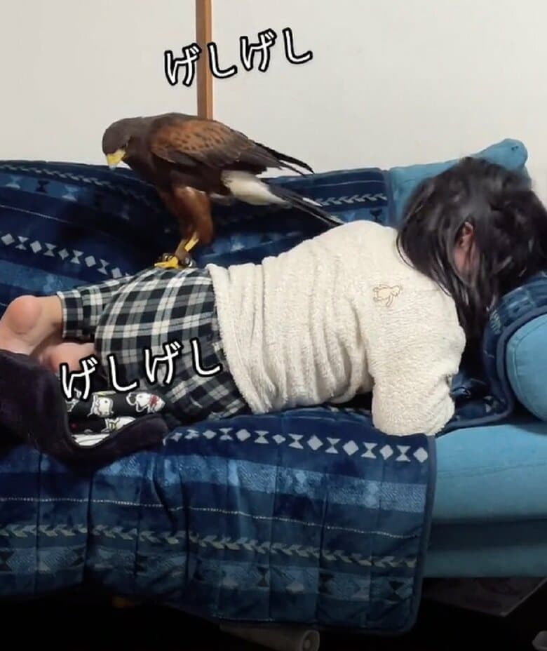 背中を蹴り始める