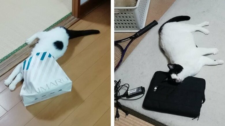 帰省した息子さんと楽しい日々を送った