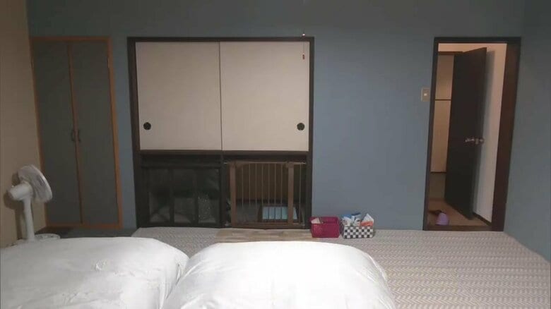 カーペットで床は防水仕様に　押入れは改装して犬の部屋を設置