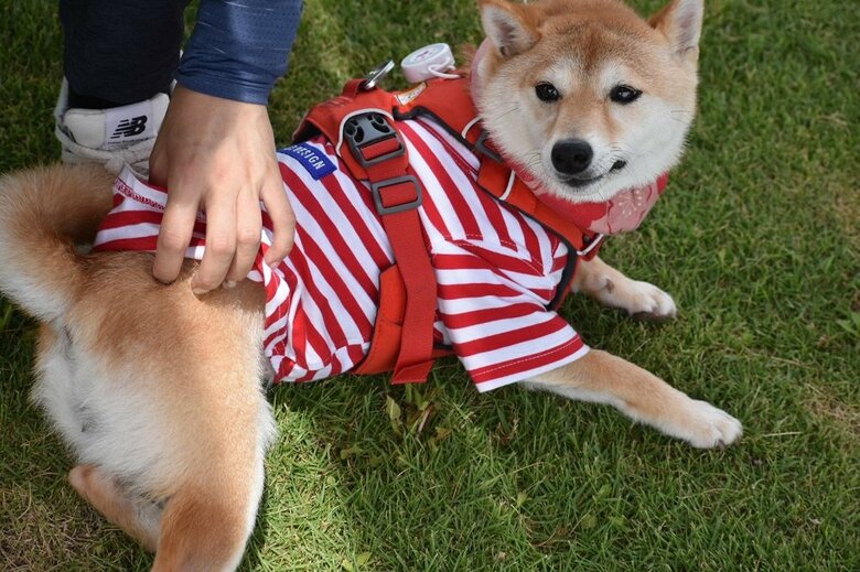 お尻をなでなで