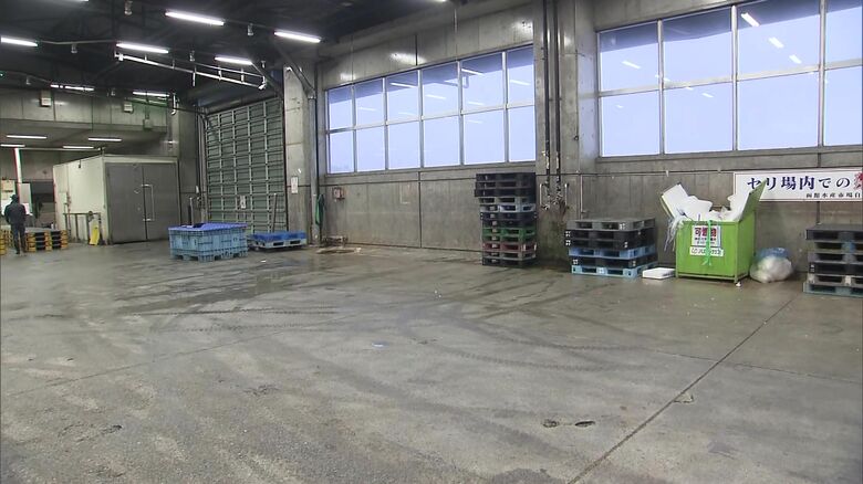 スルメイカの初競りは中止