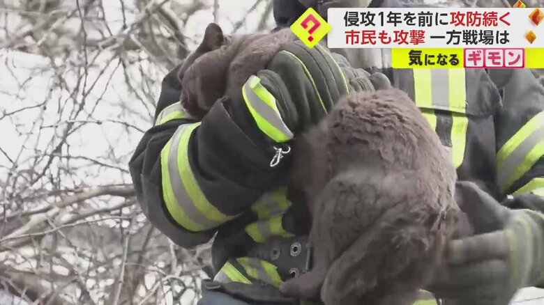 ミサイル攻撃を受けた現場からネコが救出される一部始終⑦