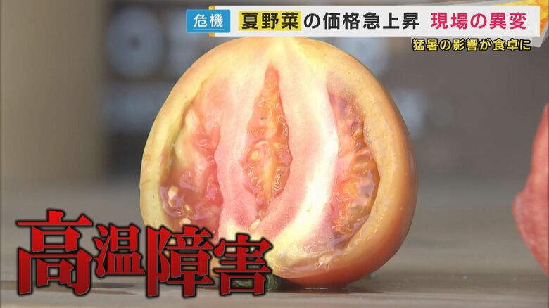 高温障害のトマト