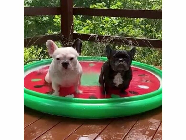 左右入れ替えてみた（提供：天使の笑顔さん）