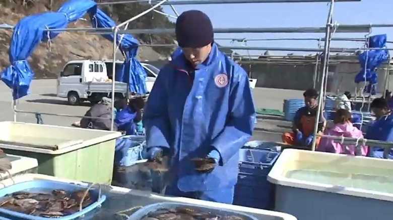 ホタテ養殖で復興を…被災地の漁師が“飲食店”や“体験型観光”で奮闘【岩手発】