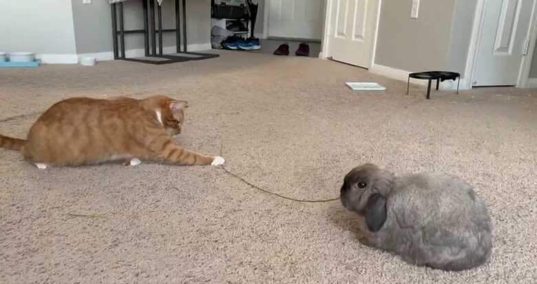 どうしても気になっちゃう（提供：和泉ユタカさん）