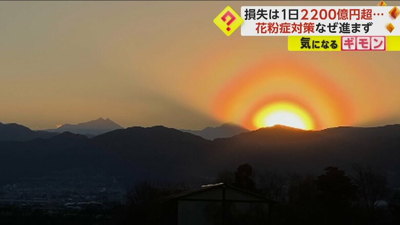 花粉光環で夕日に光の輪が発生している