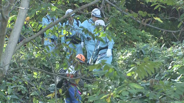 札幌市職員が林道を調べる様子