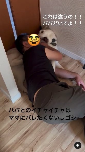提供：キャプテン・レゴシさん
