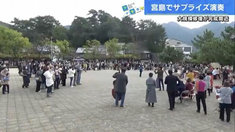 スマホを手に、輪になって演奏を聴く観光客