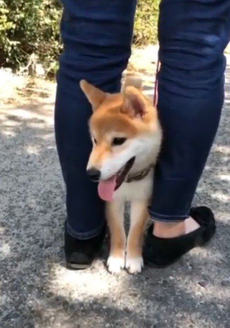 提供：torakichi602さん