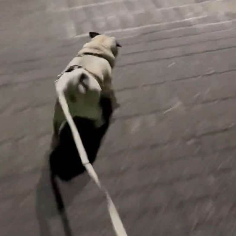 軽やかに歩き出すのだった