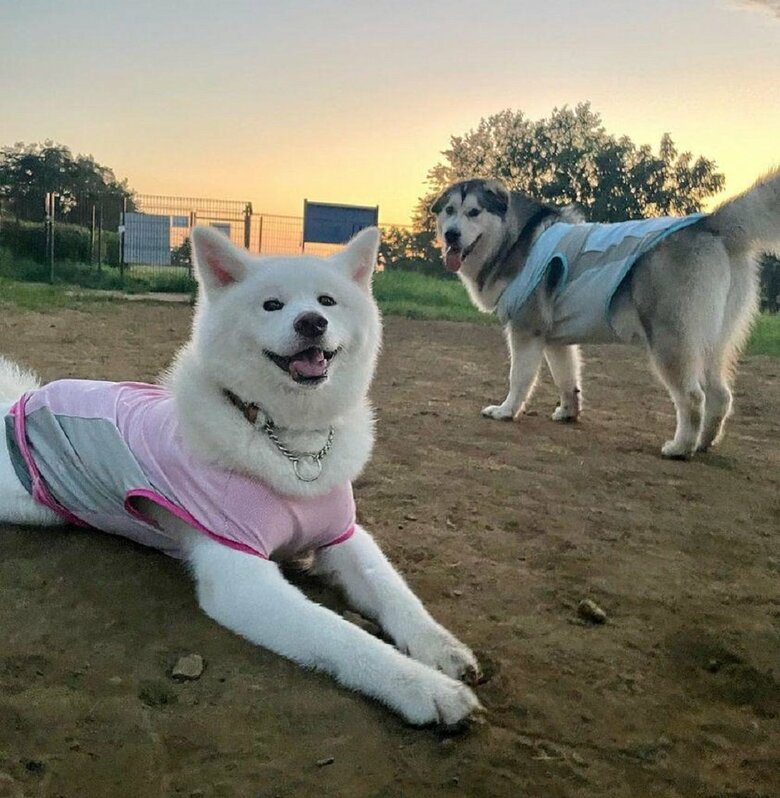 一緒に暮らしている