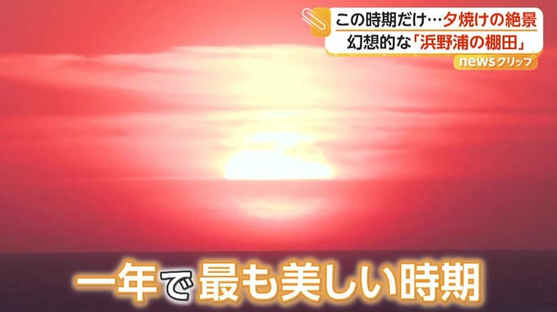 1年で最も美しい時期とも言われている棚田