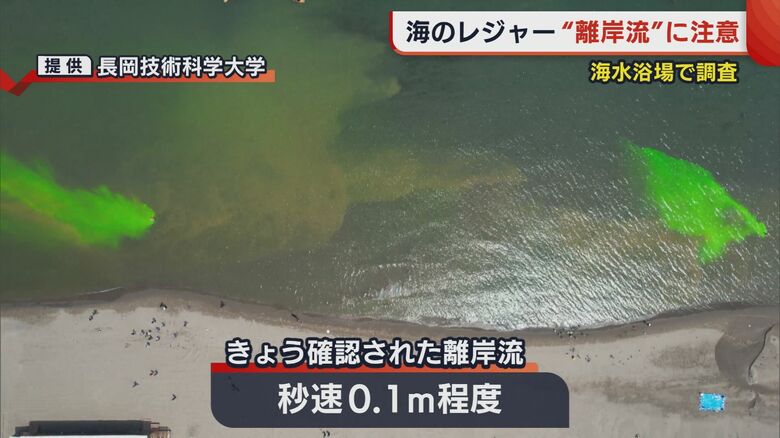 上空からも調査