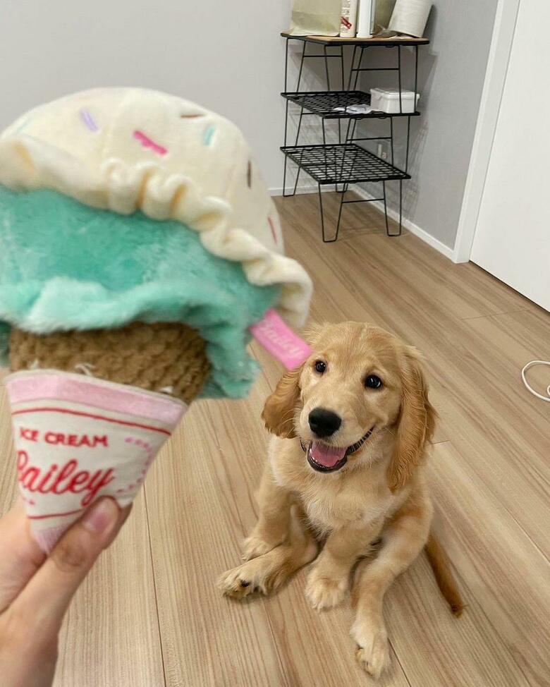 提供：関口和也さん