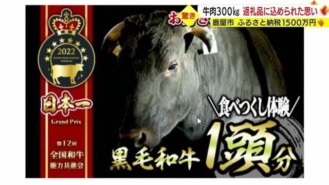 新しい返礼品はなんと牛1頭
