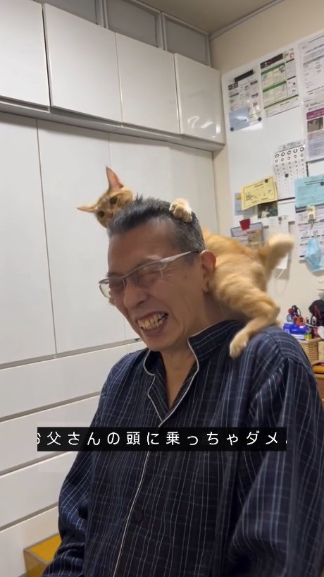 提供：cohakuさん