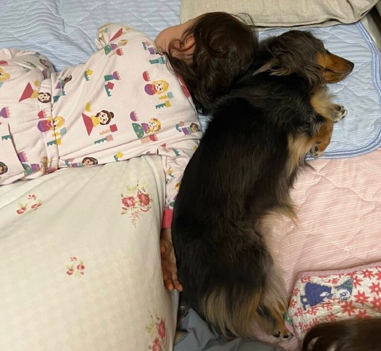 どこかが必ずくっついている