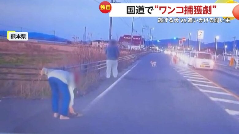 サンダルを脱ぎ臨戦態勢の人とこちらをうかがう犬（視聴者提供）