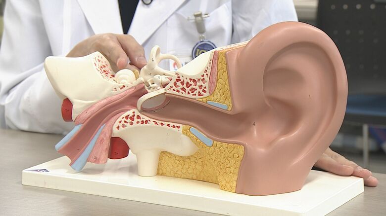 めまいの原因は耳の奥に