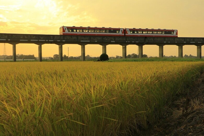 撮影：渡邉貴宣　提供：鹿島臨海鉄道