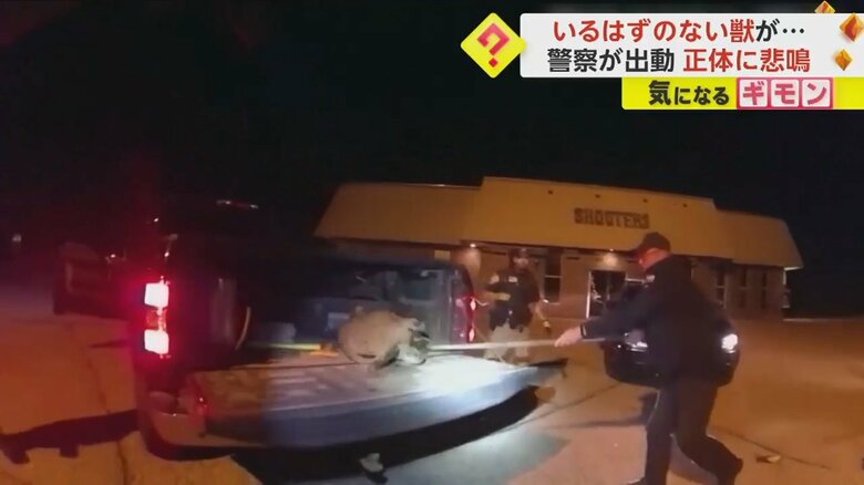 いるはずのない“獣”が警察官によって引っ張り出される様子⑨