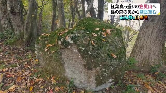 登山道に現れた「石の山神さま」　願い事をかなえてくれるという