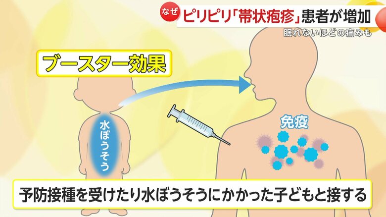 かつては水ぼうそうにかかった子どもと接することでブースター効果を得られたが…