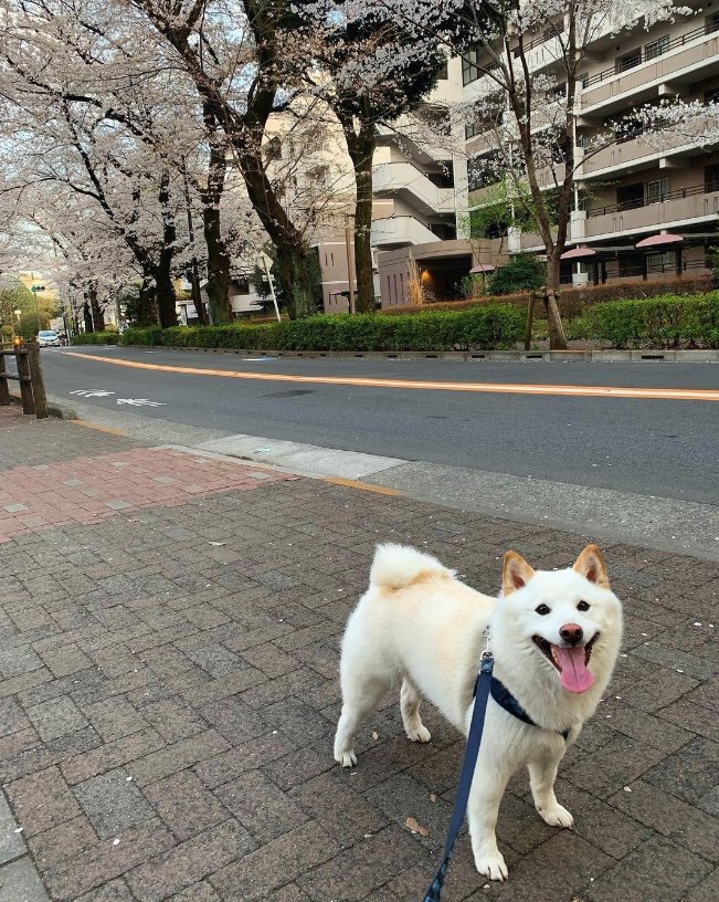 提供：ラッキーさん