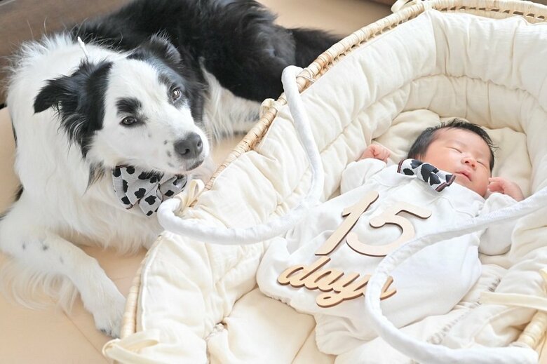 “兄”らしく接しているという