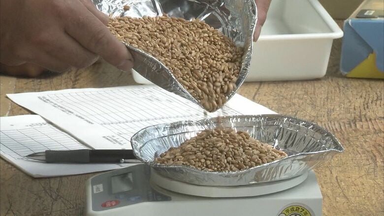 資料　岩手県で行われた小麦の調査