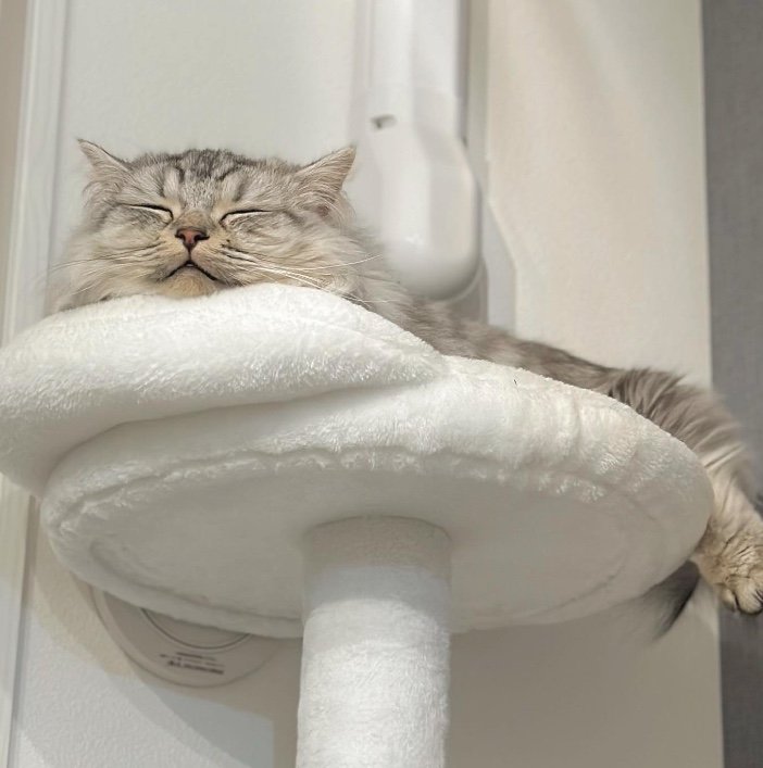 提供：チワックスの諭吉くん。さん