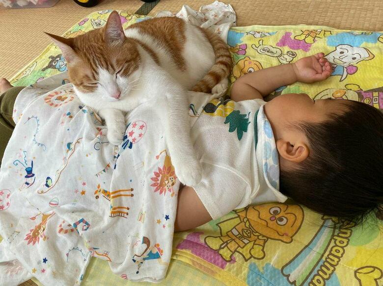 提供：Hassakuさん