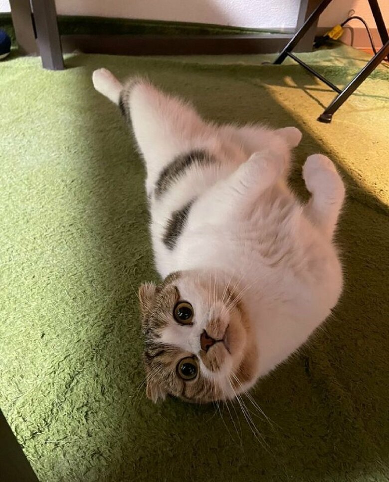 何？