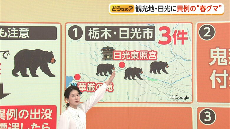 3月13日には日光東照宮から2kmの川で目撃