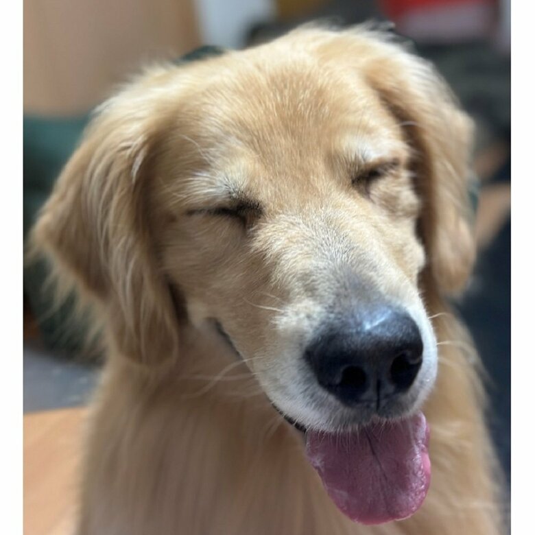 笑顔のがんもくん