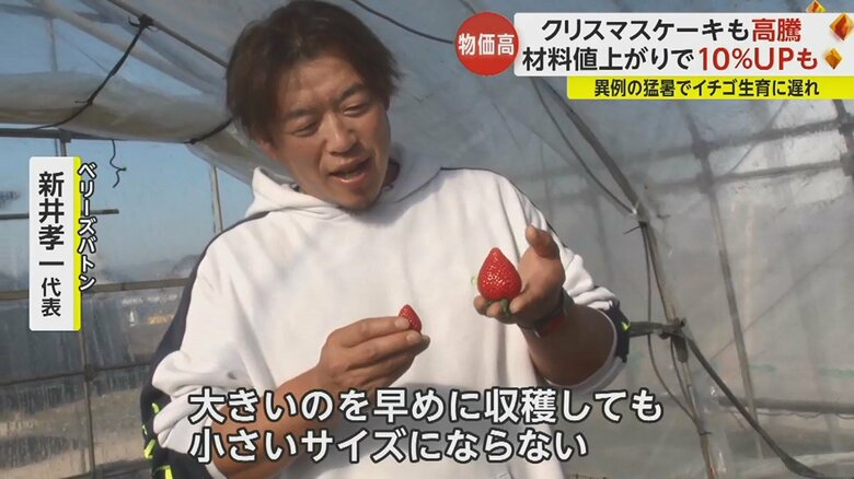 「クリスマス前にちょうど良いサイズに落ちてくるのが理想」