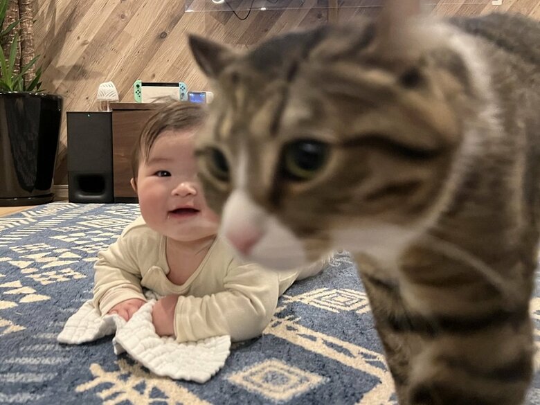 キウイくんに向かって笑っているアタチちゃんに気付くだろうか