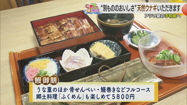 天然ウナギのフルコース