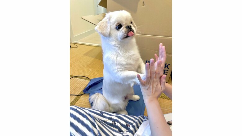 提供：LOVEYOUさん