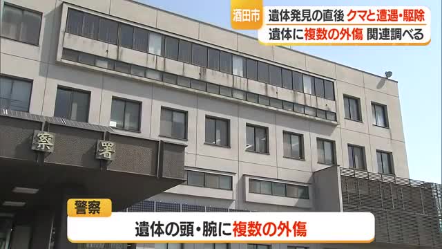 クマか？　山菜採りで男性行方不明の山林に身元不明の遺体・複数の外傷…付近でクマ駆除　山形・酒田市