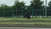 【速報】札幌市東区の住宅街で