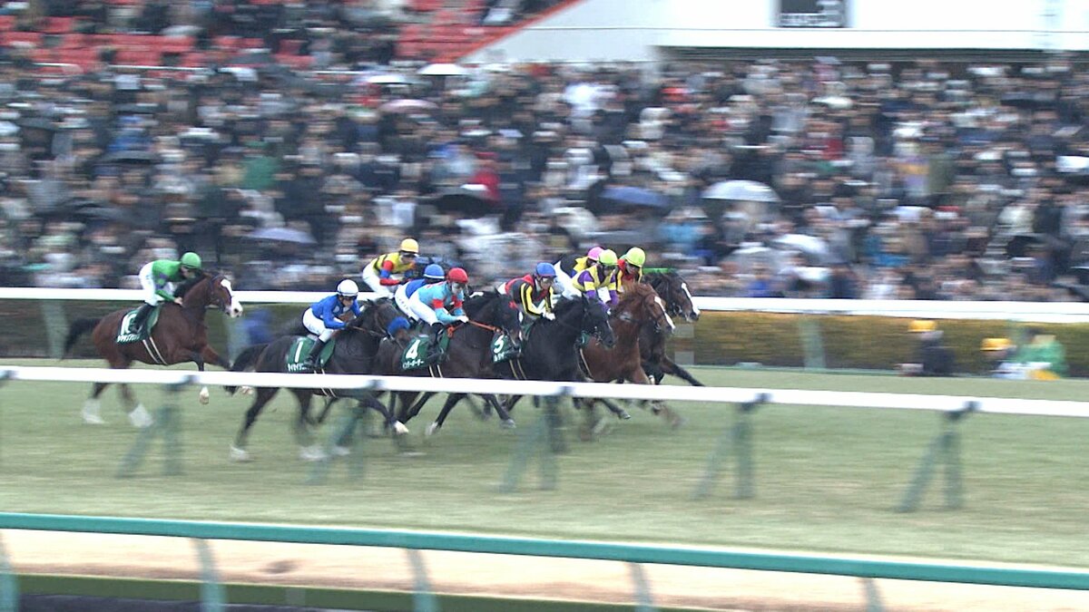 京成杯＆日経新春杯】クラシック＆古馬GⅠ戦線へ！超良血馬から勢いに 