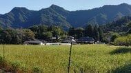 展望の穴場「京ヶ倉」　下山中に名古屋市の51歳の女性が転倒　自ら消防に救助を要請　足首を骨折の模様