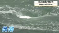 直径15メートル超の巨大な渦も出現　鳴門海峡で秋の「大潮」迎え渦潮が見ごろに　目の前で巻くダイナミックな光景に観光客「迫力すごい」