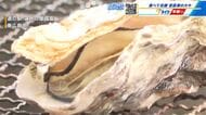 東広島市の道の駅で「カキフェスタ」　安芸津産カキの養殖業者を応援　２２日まで開催