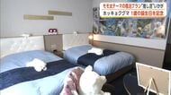 もうすぐ1歳！ホッキョクグマ「モモ太」に囲まれて過ごす宿泊プラン登場　記念にいかが　秋田・男鹿市