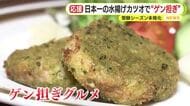 水揚げ日本一のカツオで“ゲン担ぎ”　受験シーズン本格化　私学協会は各陣営に“配慮”嘆願　入試が選挙期間とバッティング