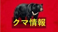 山口・萩市でクマの目撃相次ぐ　早朝には県道に２頭　警察が注意を呼びかけ